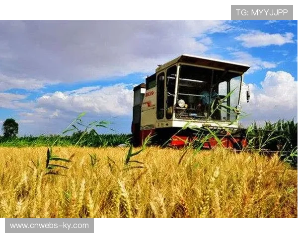 容错机制纳入创新试点，鼓励探索性供给实践